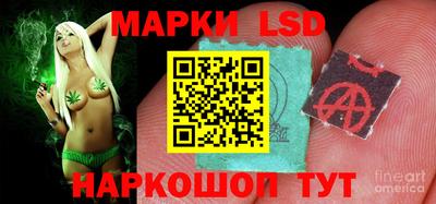 apvp Обь