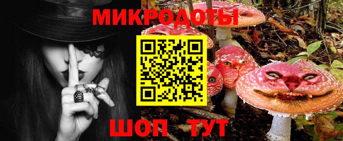 Саранск  Псилоцибиновые грибы Psilocybine cubensis  сколько стоит  Вход с VPN 
