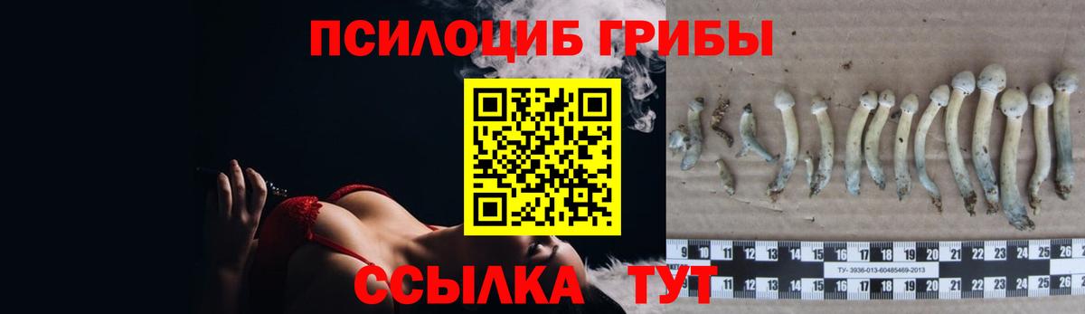 Псилоцибиновые грибы Magic Shrooms Саранск